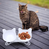 Maxbell Elevated Cat Double Bowls Raised Pet Water Food Feeder Feeding Dishes Tilted White
