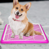 Maxbell Puppy Dog Toilet with Urinary Column Reusable for pet Supplies Outdoor Pink