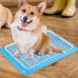 Maxbell Puppy Dog Toilet with Urinary Column Reusable for pet Supplies Outdoor Blue