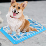 Maxbell Puppy Dog Toilet with Urinary Column Reusable for pet Supplies Outdoor Blue