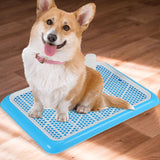 Maxbell Puppy Dog Toilet with Urinary Column Reusable for pet Supplies Outdoor Blue