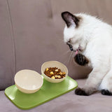 Maxbell Raised Cat Food Bowl Water Drinking Bowl Pet Feeder Waterer Pet Feeding Bowl Green 2 Bowls