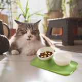 Maxbell Raised Cat Food Bowl Water Drinking Bowl Pet Feeder Waterer Pet Feeding Bowl Green 2 Bowls