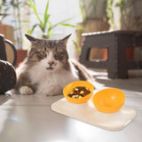 Maxbell Raised Cat Food Bowl Water Drinking Bowl Pet Feeder Waterer Pet Feeding Bowl Yellow 2 Bowls