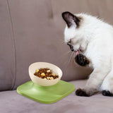 Maxbell Raised Cat Food Bowl Water Drinking Bowl Pet Feeder Waterer Pet Feeding Bowl Green 1 Bowl