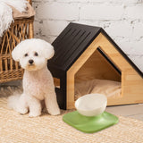 Maxbell Raised Cat Food Bowl Water Drinking Bowl Pet Feeder Waterer Pet Feeding Bowl Green 1 Bowl