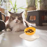 Maxbell Raised Cat Food Bowl Water Drinking Bowl Pet Feeder Waterer Pet Feeding Bowl Yellow 1 Bowl