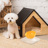 Maxbell Raised Cat Food Bowl Water Drinking Bowl Pet Feeder Waterer Pet Feeding Bowl Yellow 1 Bowl