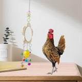 Maxbell Hens Chicken Mirror Toy with Bell Holder Chicken Xylophone Toy for Roosters 129g