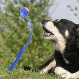 Maxbell Pet Ball Thrower Outdoor Dog Throwing Stick for Medium Large Dogs Blue