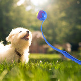 Maxbell Pet Ball Thrower Outdoor Dog Throwing Stick for Medium Large Dogs Blue