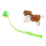 Maxbell Pet Ball Thrower Outdoor Dog Throwing Stick for Medium Large Dogs Green