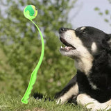 Maxbell Pet Ball Thrower Outdoor Dog Throwing Stick for Medium Large Dogs Green