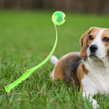 Maxbell Pet Ball Thrower Outdoor Dog Throwing Stick for Medium Large Dogs Green