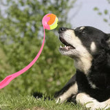 Maxbell Pet Ball Thrower Outdoor Dog Throwing Stick for Medium Large Dogs Pink