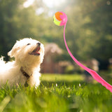 Maxbell Pet Ball Thrower Outdoor Dog Throwing Stick for Medium Large Dogs Pink