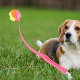 Maxbell Pet Ball Thrower Outdoor Dog Throwing Stick for Medium Large Dogs Pink