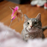 Maxbell Cat Feather Teaser Collar Hands Free Funny Indoor Cats Teasing Wand 1pcs Pink 1pcs Blue