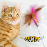 Maxbell Cat Feather Teaser Collar Hands Free Funny Indoor Cats Teasing Wand 1pcs Pink 1pcs Blue