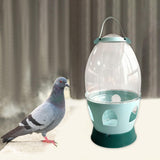 Maxbell Pigeon Water Dispenser Feeder Bird Feeding Drinker for Parrot Dove Parakeet 6L Green 38.5cmx21cm