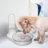Maxbell Pet Water Dispenser Gravity Waterer Cat Water Feeder for Kitten Puppy Cats