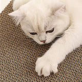 Maxbell Pet Cat Scratcher Board Bed Scratch Pad Pad Interactive Play Toy Durable House