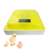 Maxbell Digital Egg Incubator Desktop Poultry Hatcher for Hatching Quail Birds