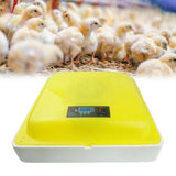 Maxbell Digital Egg Incubator Desktop Poultry Hatcher for Hatching Quail Birds