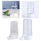 Maxbell Automatic Parrot Feeder Parrot Water Dispenser Bird Drinker for Birds Canary 200ML