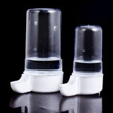 Maxbell Automatic Parrot Feeder Parrot Water Dispenser Bird Drinker for Birds Canary 200ML