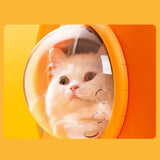 Maxbell Cute Carrot Cat Carrier Backpack for Cat & Small Dog Back Pocket Portable