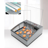 Maxbell Egg Incubator Automatic Intelligent Chick Incubator with Light Hatching Eggs for 24 Eggs