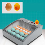 Maxbell Egg Incubator Automatic Intelligent Chick Incubator with Light Hatching Eggs for 24 Eggs