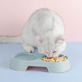 Maxbell Premium Cat Double Bowls Pet Water Food Feeder for Kitten Small Dogs Puppy Green