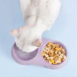 Maxbell Premium Cat Double Bowls Pet Water Food Feeder for Kitten Small Dogs Puppy Purple