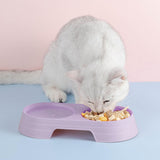 Maxbell Premium Cat Double Bowls Pet Water Food Feeder for Kitten Small Dogs Puppy Purple