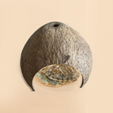 Maxbell Coconut Shells Hut Shelter Growth Nest Aquarium Decor Hide Hermit