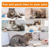 Maxbell 10Pcs Cute Cat Catnip Toy Interactive Cat Toy Playing for Cats Holiday Gifts