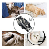 Maxbell Cat Recovery Suit Pet Costume Cat Clothes Pajama Shirt for Small Dogs Cats M