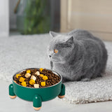 Maxbell Cat Bowl Drinking Eating Feeding Bowl Pet food Feeder for Small Dogs Green