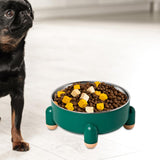 Maxbell Cat Bowl Drinking Eating Feeding Bowl Pet food Feeder for Small Dogs Green