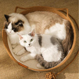 Maxbell Scratching Board Sofa Bed Soft Kennel Nest Cat Scratcher for Kitten Puppy Medium