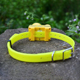 Maxbell Dog Beeper Collars Behavior Correct Dog Trainer Rechargeable Waterproof