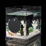 Maxbell Portable Fighting Fish Training Mirror Transparent Betta for Fishing Viewing S