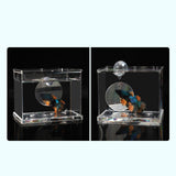 Maxbell Portable Fighting Fish Training Mirror Transparent Betta for Fishing Viewing S