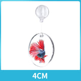 Maxbell Portable Fighting Fish Training Mirror Transparent Betta for Fishing Viewing S