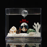 Maxbell Portable Fighting Fish Training Mirror Transparent Betta for Fishing Viewing S