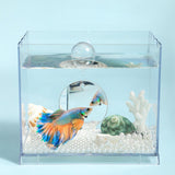 Maxbell Portable Fighting Fish Training Mirror Transparent Betta for Fishing Viewing S
