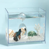 Maxbell Portable Fighting Fish Training Mirror Transparent Betta for Fishing Viewing S