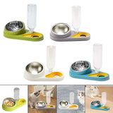 Maxbell Dog Cat Double Bowl Food Water Bowl Tilted Anti Spill Feeder Bow Detachable Green